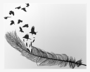 Crows Flying From Long Feather Silhouette On White - Illustration #1090792 Crows Flying From Long Feather Silhouette On White - Illustration #1090792