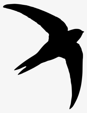 Open - Swift Silhouette #1090963 Open - Swift Silhouette #1090963