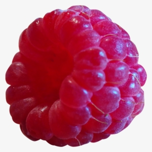 Raspberry Png Transparent Image - Raspberry Transparent #1091019