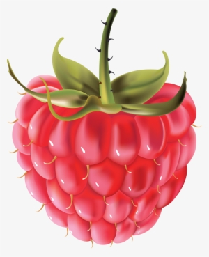 Rraspberry Png Image #1091109