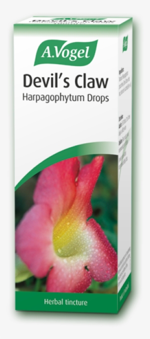 Vogel Devil's Claw Tincture - Vogel Hypericum #1091278