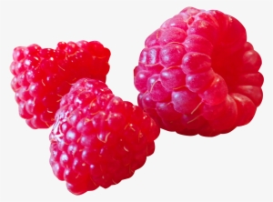 Raspberry #1091282
