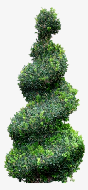 Zielono I Wiosennie - Clip Art #1091362