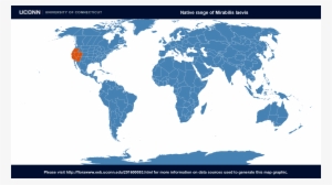 Country Of Origin - El Dorado Sim Cards #1091738