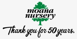 Be On The Lookout For Our Anniversary Announcements - Moana Nursery #1091790