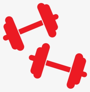 The Sky Family Ymca, Fort Myers, Englewood, Cape Coral - Ymca Weights #1091838