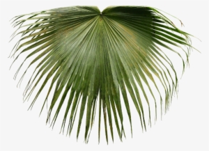 Portable Network Graphics #1092169