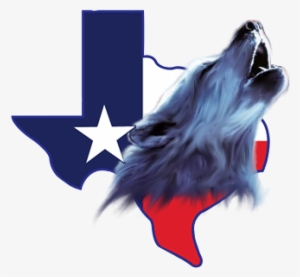 Texas Speed Cam Logo #1092366