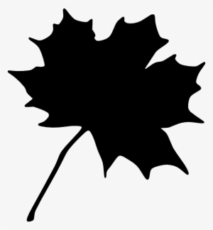 Maple Leaf Clip Art #1092474