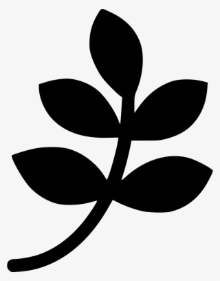 Leaf - Rama De Hojas Dibujo #1092579