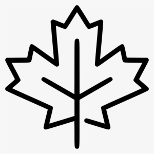 Png File Svg - Maple Leaf Icon Vector #1092988