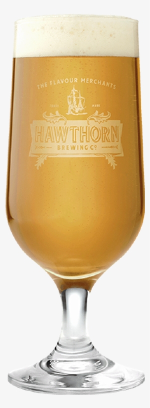 Hawthorn Beer Glass - Beer Glass #1093831