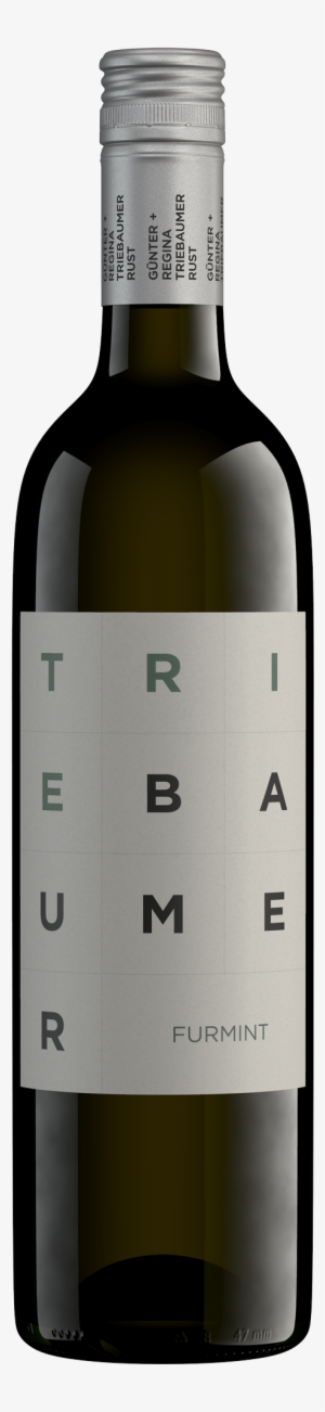 Packshot - Label - G.u.r. Triebaumer Sauvignon Blanc 2016 - Triebaumer #1094167