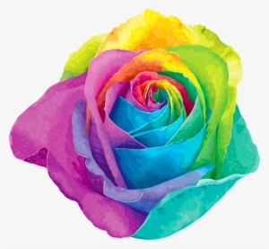 Multicolored Rainbow Rose Transparent Png Clip Art - Rainbow Flower Png #1094968