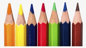 What I Saw As I Camped Out In The School Supply Section - Collection #1095753