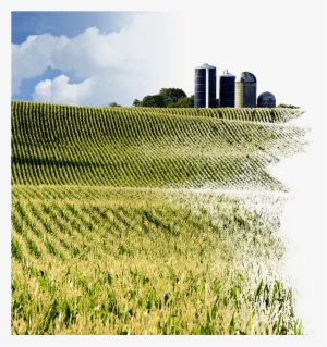 Ethanol - Field #1096766