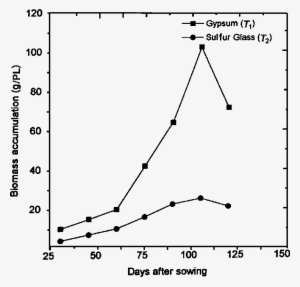 Effect Of Sulfur Glass Fritz And Gypsum Application - Cardiac Arrest #1097080