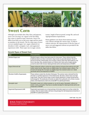 1 Alt - Brochure #1097403