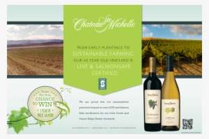 13 Banner Salmon Safe Summer F Lo #1098591