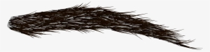 Bushy Eyebrow - Ceja Png #110290