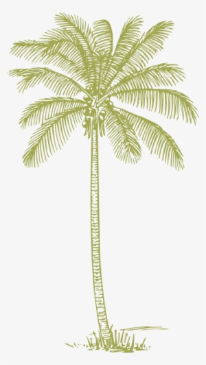 Green Palm Tree Silhouette Png #110658
