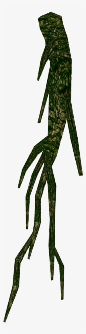 Hanging Roots 2 - Hanging Roots Png #111088