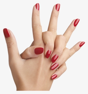Hand Nails Png #111109