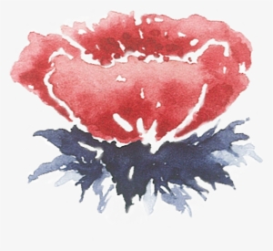 Of A Friends Wedding In The Summer Of - Peony #111637 Of A Friends Wedding In The Summer Of - Peony #111637