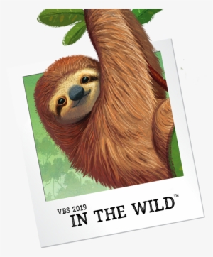 Sloth - Vbs 2019 In The Wild #111735