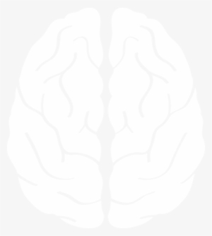 Cincinnati Brain Tumor Care, Stroke Care, Parkinsons - White Brain Icon Png #112277