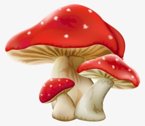 Mushroom Png Picture - Mushroom Png Transparent Background #112396