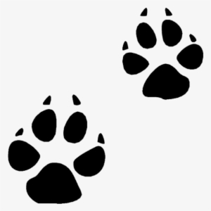 Coyote Paw Prints - Cougar Tracks Clip Art #112701