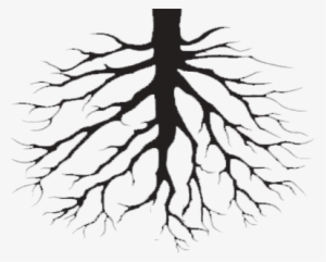 Clip Art Library Library Drawing At Getdrawings Com - Biffy Clyro Opposites Vinyl Record #112892