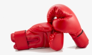 Red Boxing Gloves Png Background Image - Rules For Radicals #113288