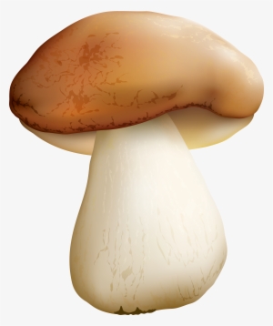 Mushroom Png #114566