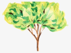 Water Color Clipart Tree - Tree Watercolour Clipart #114635