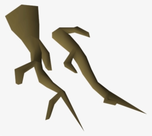 Willow Roots Detail - Root #114736