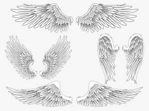 Angel Wing Bird Feather #115063 Angel Wing Bird Feather #115063