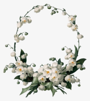 Belle - White Flower Border #115086