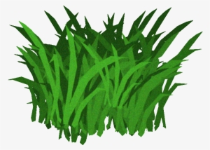 Coral Clipart Transparent - Seaweed Transparent Background #115234