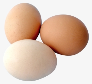 Eggs Png #115503