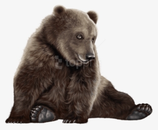 Bear Png Clip Art - Black Bear Polar #115527 Bear Png Clip Art - Black Bear Polar #115527