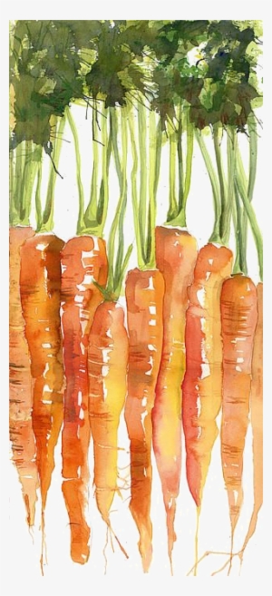 Carottes - Carrots Watercolor Painting #115613