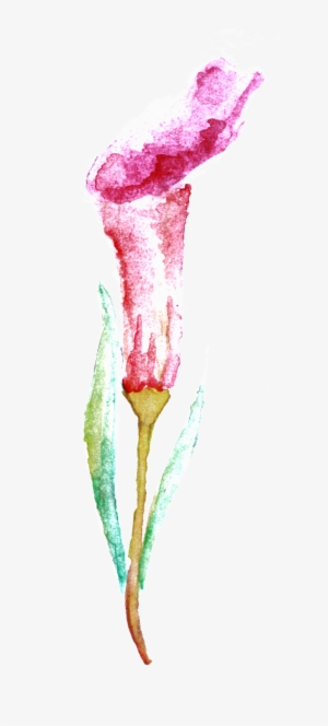 Watercolor Painting #115648