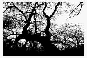 Big Image - Silhouette #115868