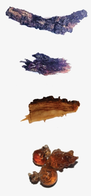 Untitled-2 - Portable Network Graphics #116323