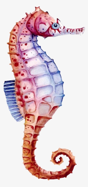 Seahorse Watercolor Painting Drawing - Seahorse Watercolor Png #116771