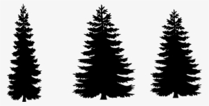 Pine Clipart Vector - Pine Tree Silhouette Free #116913