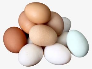 Egg Png #117458 Egg Png #117458