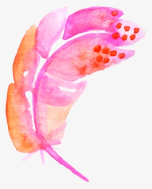 Feather Pink - Watercolor Painting #118291